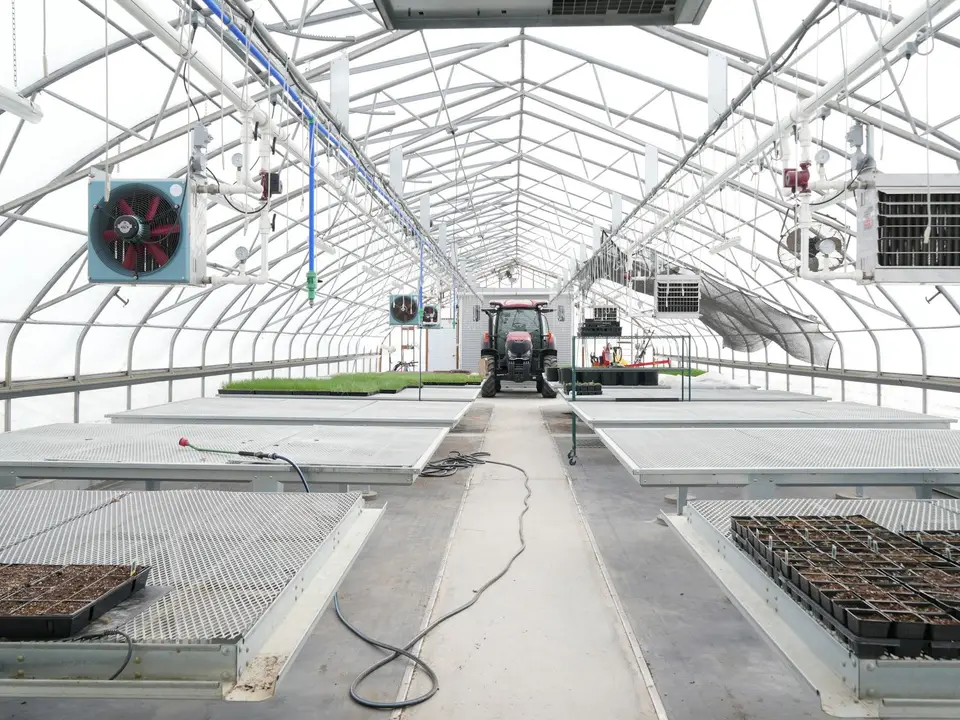 Seedling trays on benches in a long greenhouse